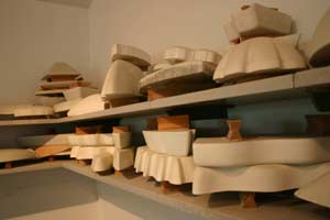 Molds on a shelf